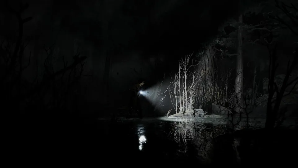 Official Steam screenshot of a torch beam on bare trees beside dark water at night.